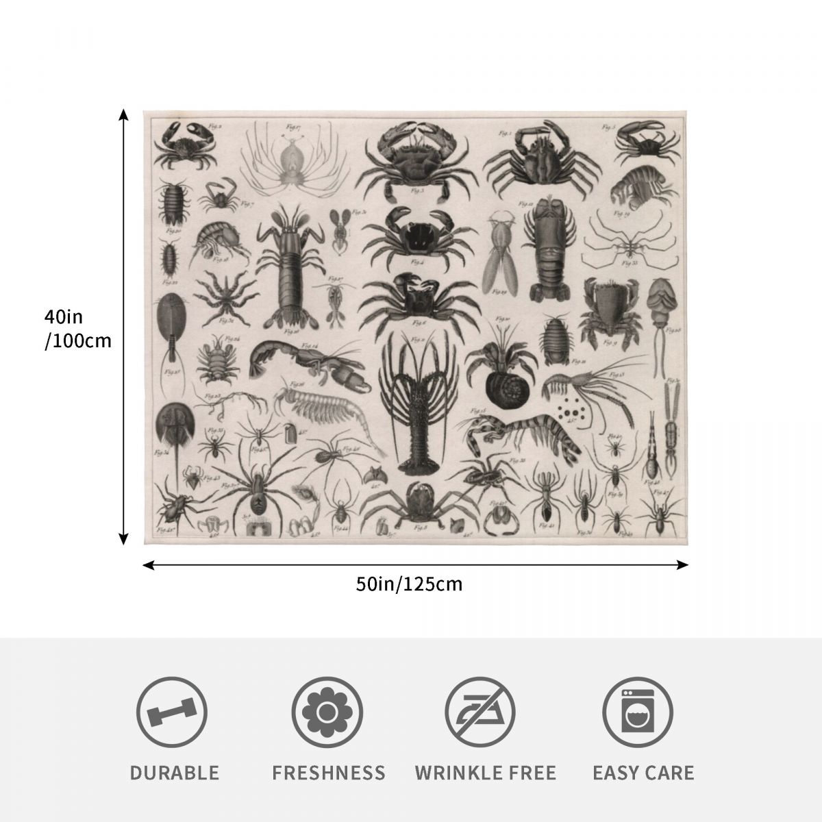 1857 Diagram Zoology: Animals  - đánh giá và giá 3D Printing Diagram