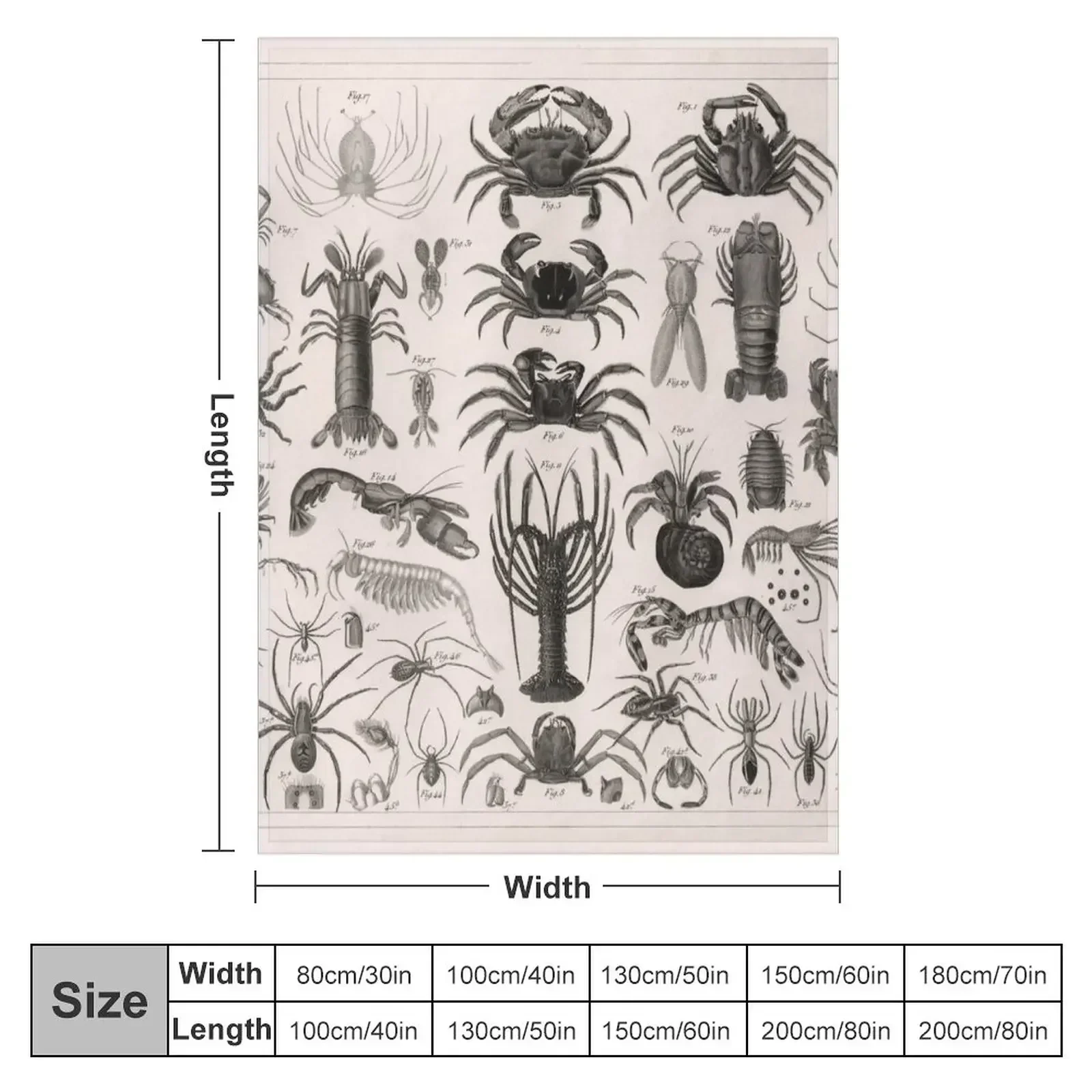 1857 Diagram Zoology: Animals  - đánh giá và giá 3D Printing Diagram