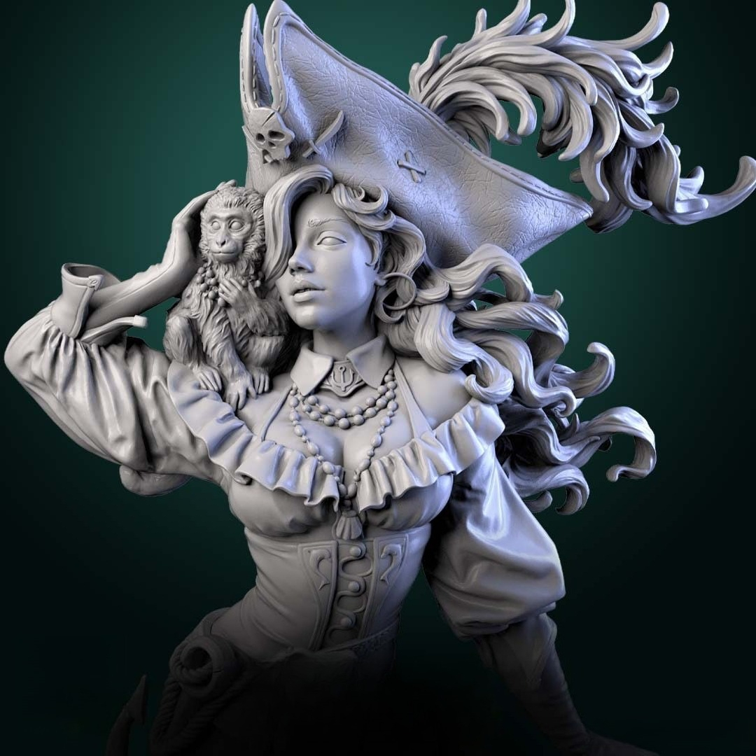 1PC 10cm/14cm Female Pirate Bu - đánh giá và giá 3D Printing For Dummies