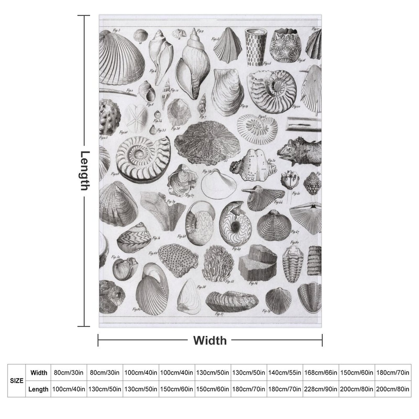 1857 Diagram Paleontology: Fos - đánh giá và giá 3D Printing Diagram
